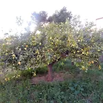 Villa Aliena